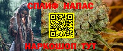 стафф Обь