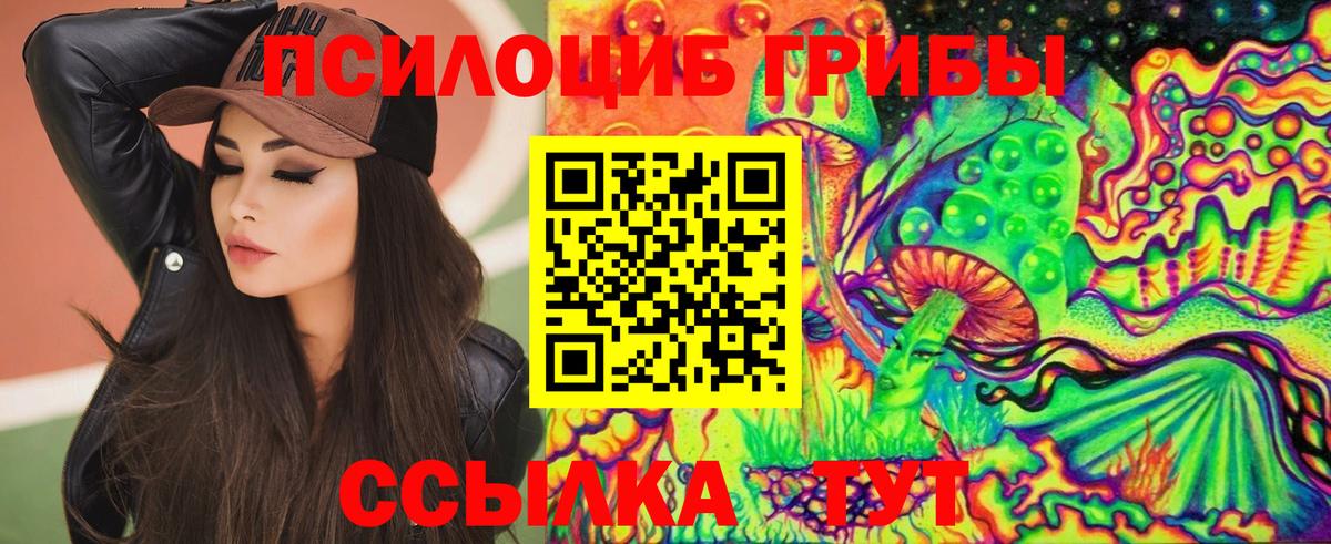Псилоцибиновые грибы GOLDEN TEACHER Славгород