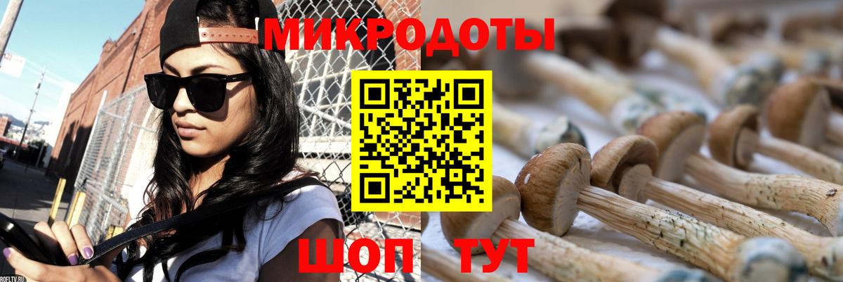 Славгород  где можно купить   Вход с VPN  Псилоцибиновые грибы MAGIC MUSHROOMS 
